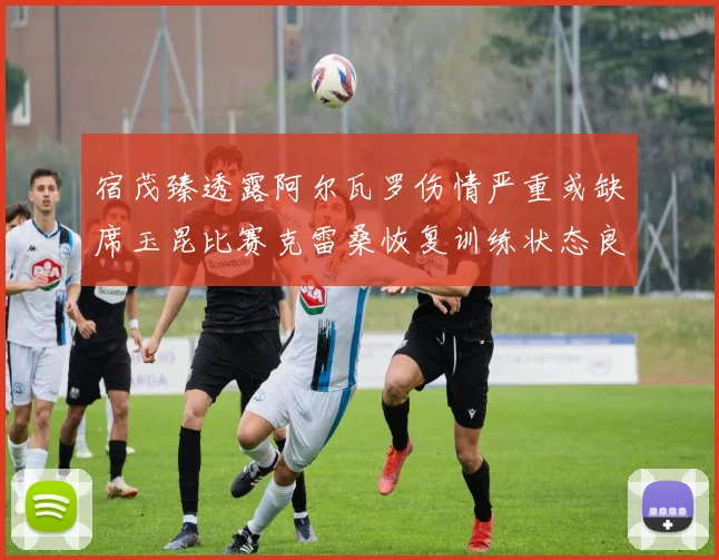 宿茂臻透露阿尔瓦罗伤情严重或缺席玉昆比赛克雷桑恢复训练状态良好