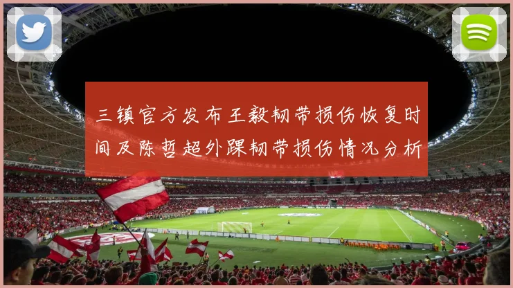 三镇官方发布王毅韧带损伤恢复时间及陈哲超外踝韧带损伤情况分析